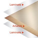 Muscular System Chart - Image 2