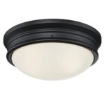 Westinghouse Meadowbrook Flush Mount Light