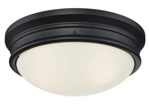 Westinghouse Meadowbrook Flush Mount Light