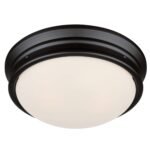 Westinghouse Meadowbrook Flush Mount Light - Image 4