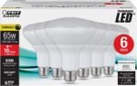 Feit BR30 LED Bulb