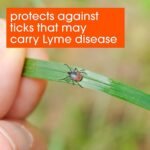 Off! Woods Insect Repellent Pack - Image 9