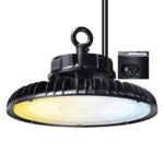 LEONLITE LED High Bay Light