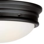 Westinghouse Meadowbrook Flush Mount Light - Image 2
