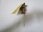 Professional Relief Valve - Image 2