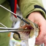 Stainless Steel Hemostat Forceps - Image 3