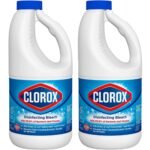 Clorox Bleach Cleaner 2-Pack