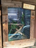 ABUS Rekeyable Steel Padlock - Image 6